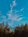 Mountain framed between two sets of trees with swooping clouds